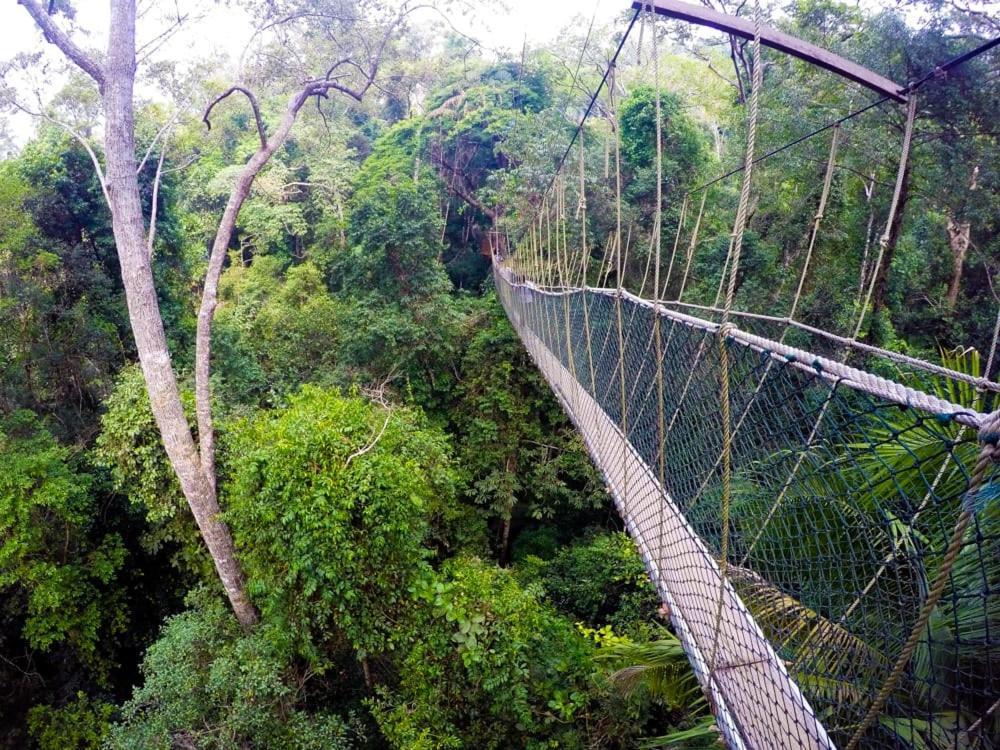 Julies Hostel Taman Negara Kuala Tahan Eksteriør bilde